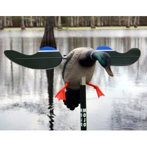 Mojo Lokkeand - Baby Grand