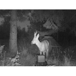 KNZ salt sliksten 10 kg