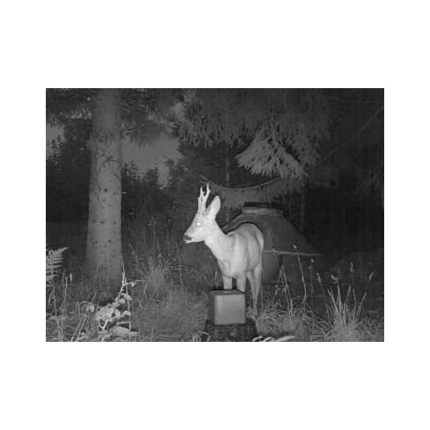 KNZ salt sliksten 10 kg