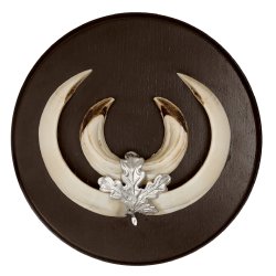 Vildsvineplade i M�rkt Tr� (Diameter 16 cm)