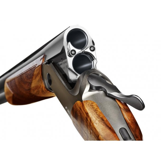Blaser F16 Game