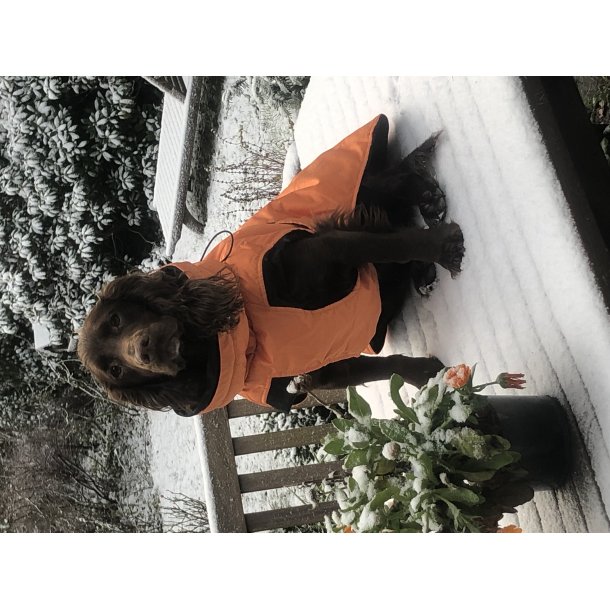Dogman Pom vinterdkken orange 