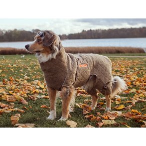 Siccaro Solution, Farve: Elmewood, trredkken