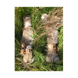 Firedog Kanin dummy 1 kg fuld skind 