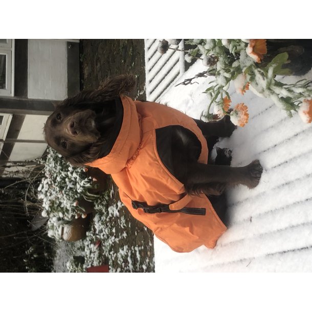 Dogman Pom vinterdkken orange 