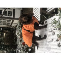 Dogman Pom vinterdkken orange 