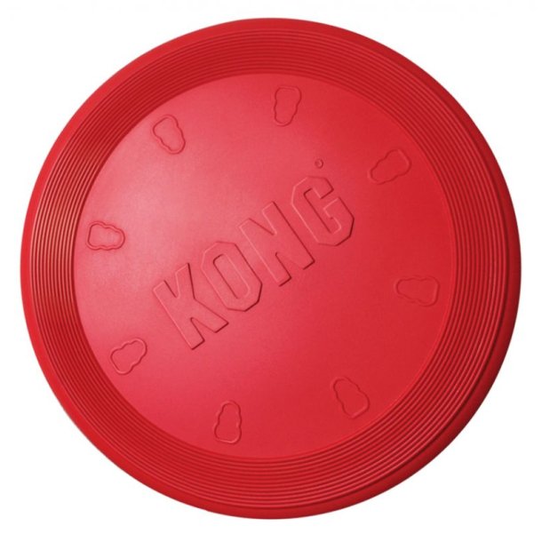 Kong rd frisbee