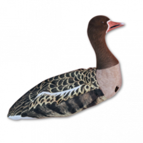 Sillosocks lokkegs Blisgs,  Vagt