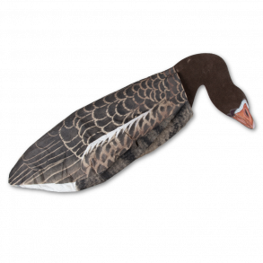  Sillosocks lokkegs Grgs, Feeder