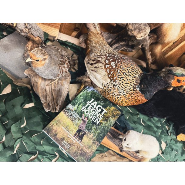 Bogen institut for jagt 