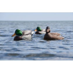 Avian-X lokke�nder Open Water