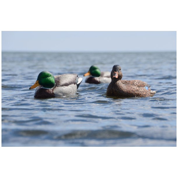 Avian-X lokke�nder Open Water