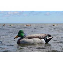 Avian-X lokke�nder Open Water