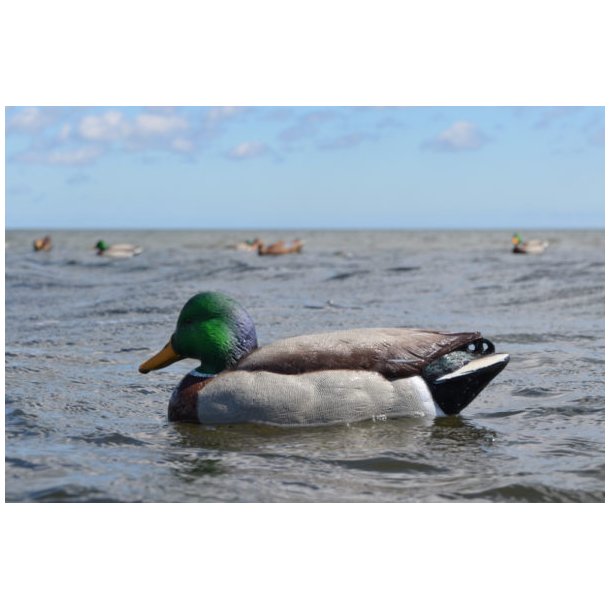 Avian-X lokke�nder Open Water