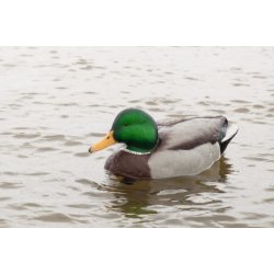 Avian-X lokke�nder Open Water