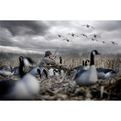 Rig'em Right Low Rider  2 - Jagtskjul