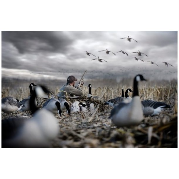 Rig'em Right Low Rider  2 - Jagtskjul