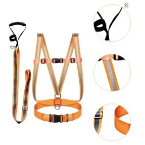 Sl�besele til st�rre dyr