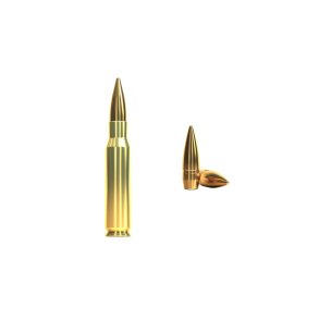 Sellier-Belliot FMJ 50STK