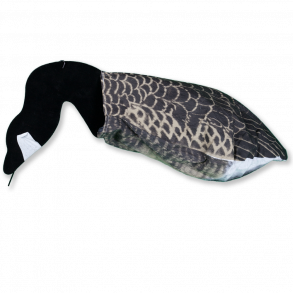 Sillosocks lokkegs Cananda, Feeder