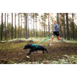 Bungee Leach 2 Meter