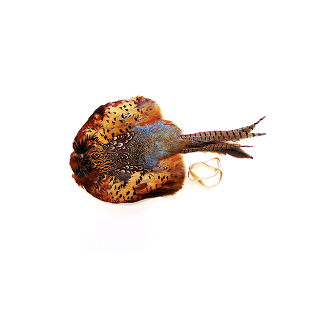 Fasan skind til dummy