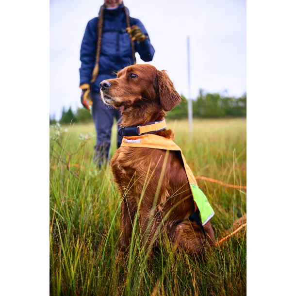 Non-stop Protector Collar 36