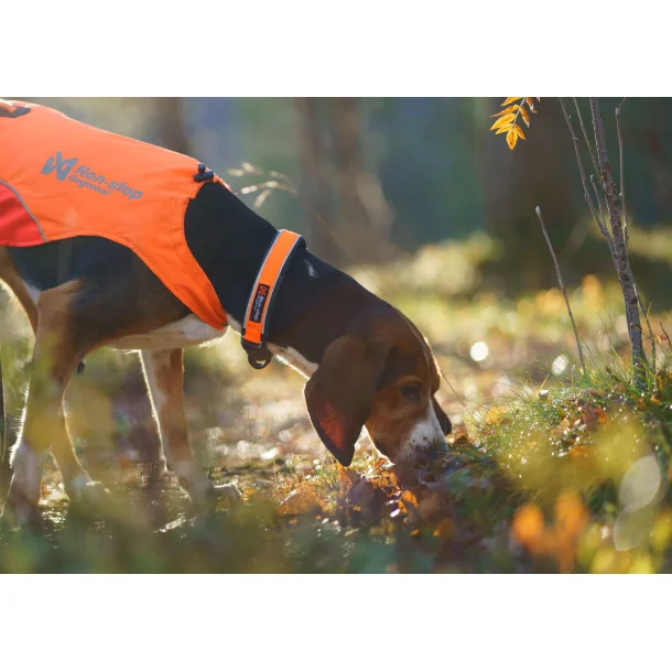 Non-stop Protector Collar 36