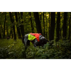 Non-Stop Dogwear 2,0 Vest