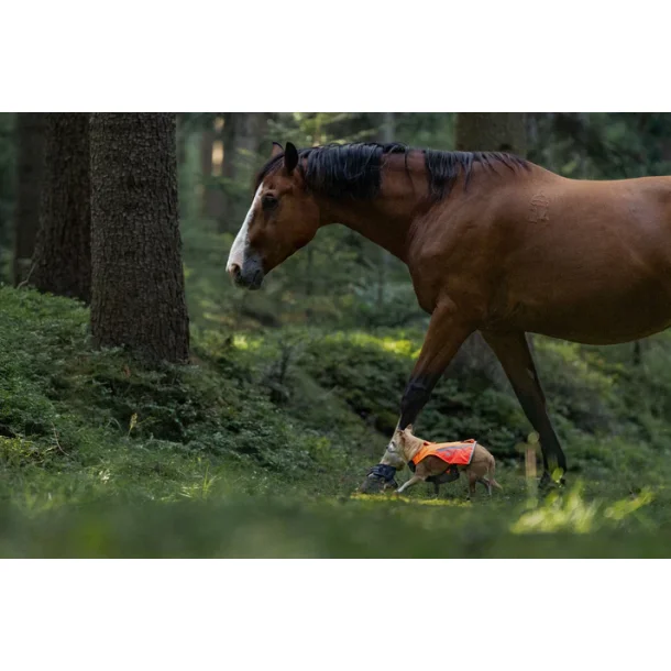 Non-Stop Dogwear 2,0 Vest