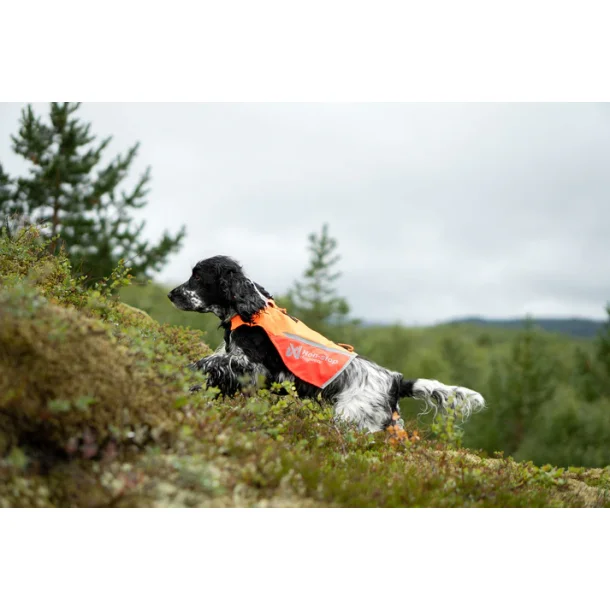 Non-Stop Dogwear 2,0 Vest