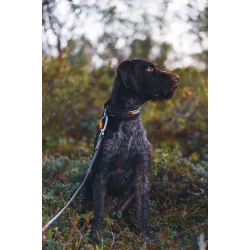 Non-stop Rock Collar L