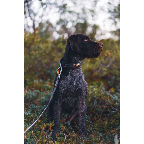 Non-stop Rock Collar L