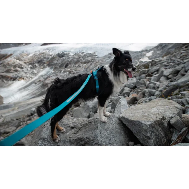 Non-stop Touring Bungee