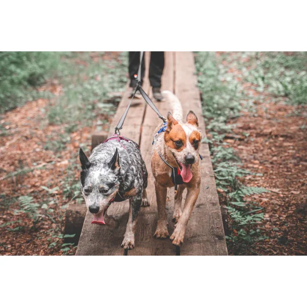 Non-Stop touring double 