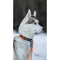 Non-Stop Trail quest collar teal/wine str. L