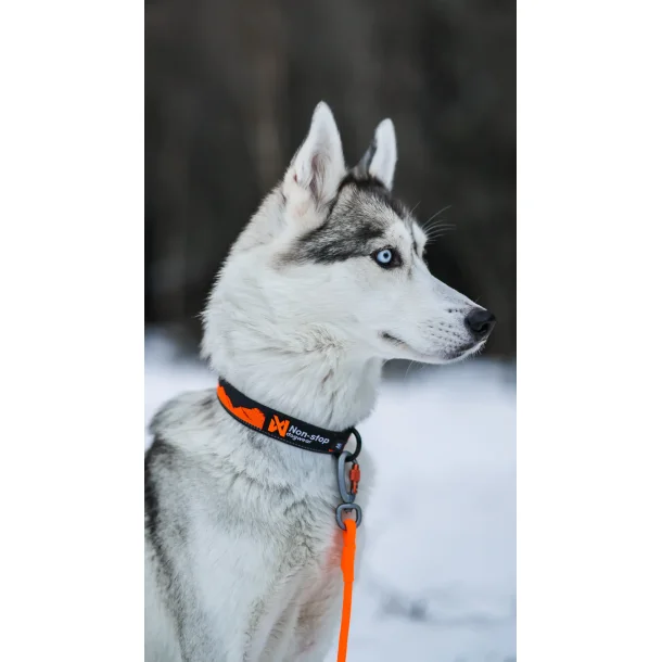 Non-Stop Trail quest collar teal/wine str. L