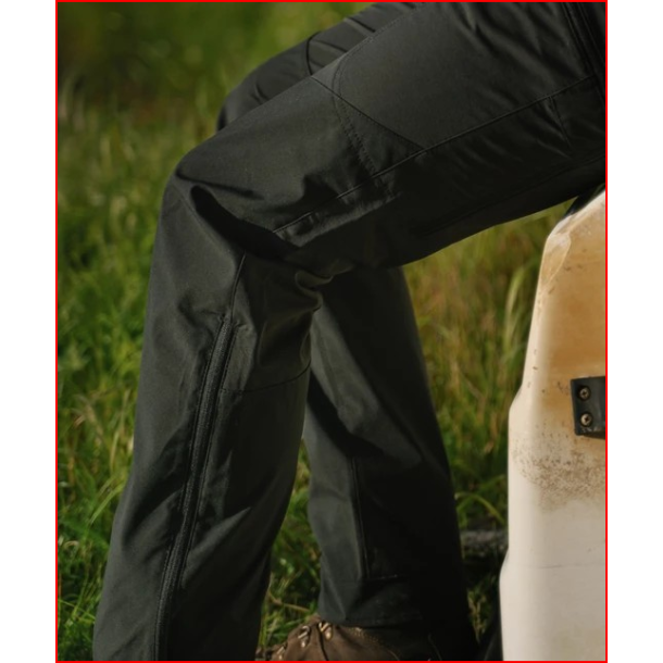 Brenton Pinewood Bukser